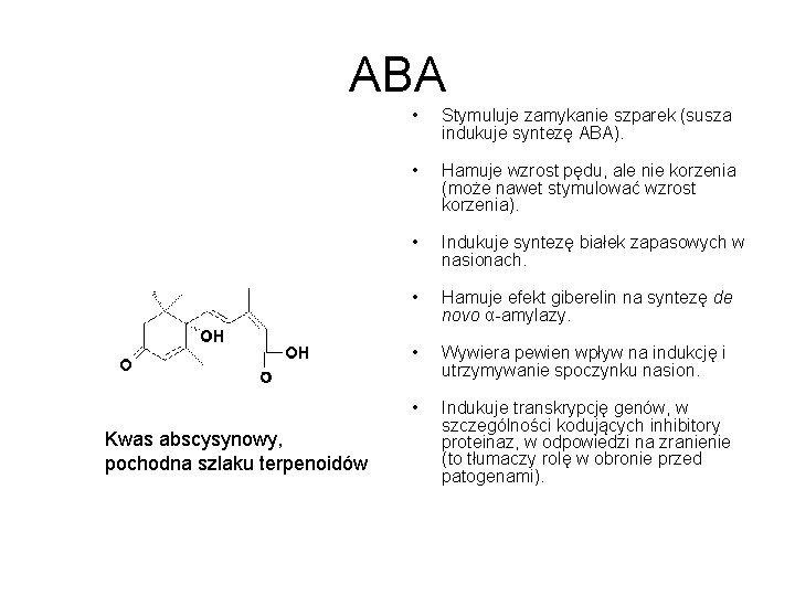 ABA Kwas abscysynowy, pochodna szlaku terpenoidów • Stymuluje zamykanie szparek (susza indukuje syntezę ABA).