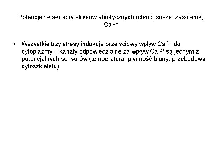 Potencjalne sensory stresów abiotycznych (chłód, susza, zasolenie) Ca 2+ • Wszystkie trzy stresy indukują