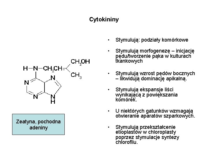 Cytokininy Zeatyna, pochodna adeniny • Stymulują: podziały komórkowe • Stymulują morfogenezę – inicjację pędu/tworzenie