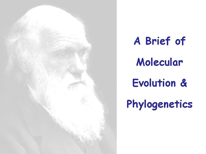 A Brief of Molecular Evolution & Phylogenetics 