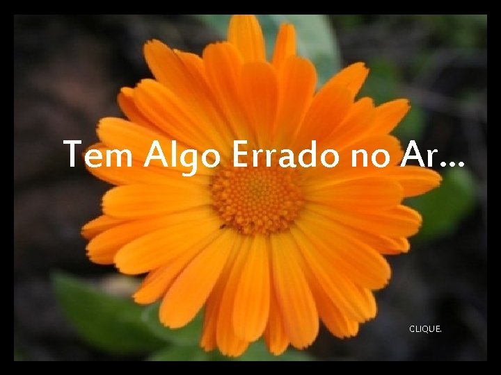 Tem Algo Errado no Ar. . . CLIQUE. 