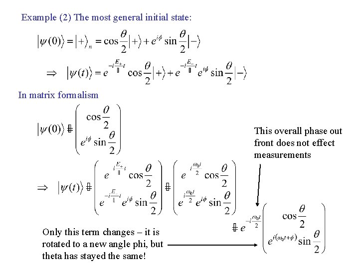 Example (2) The most general initial state: In matrix formalism This overall phase out