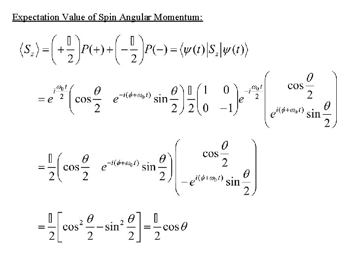 Expectation Value of Spin Angular Momentum: 