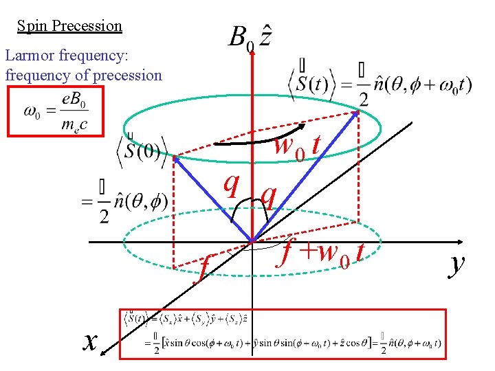 Spin Precession Larmor frequency: frequency of precession w 0 t q q f x