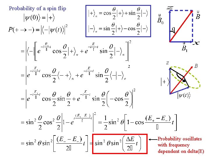 Probability of a spin flip q z B Probability oscillates with frequency dependent on