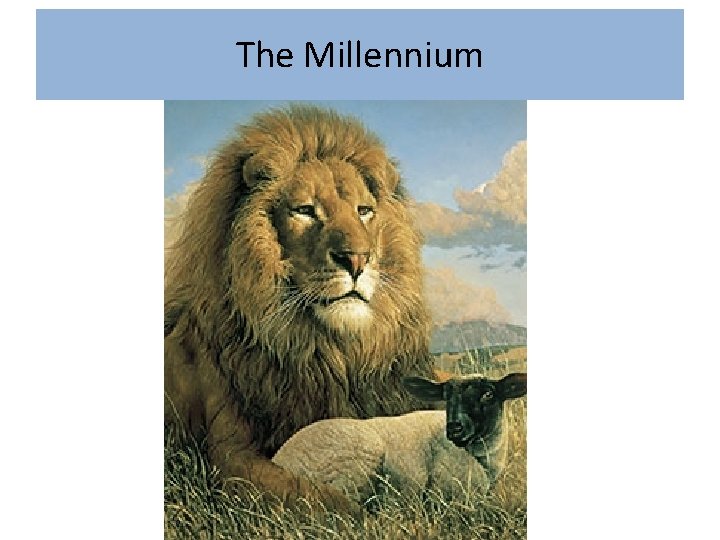 The Millennium 