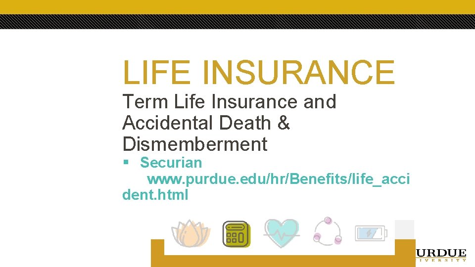 LIFE INSURANCE Term Life Insurance and Accidental Death & Dismemberment § Securian www. purdue.