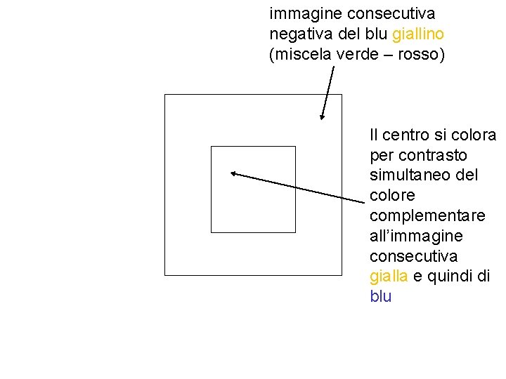 immagine consecutiva negativa del blu giallino (miscela verde – rosso) Il centro si colora