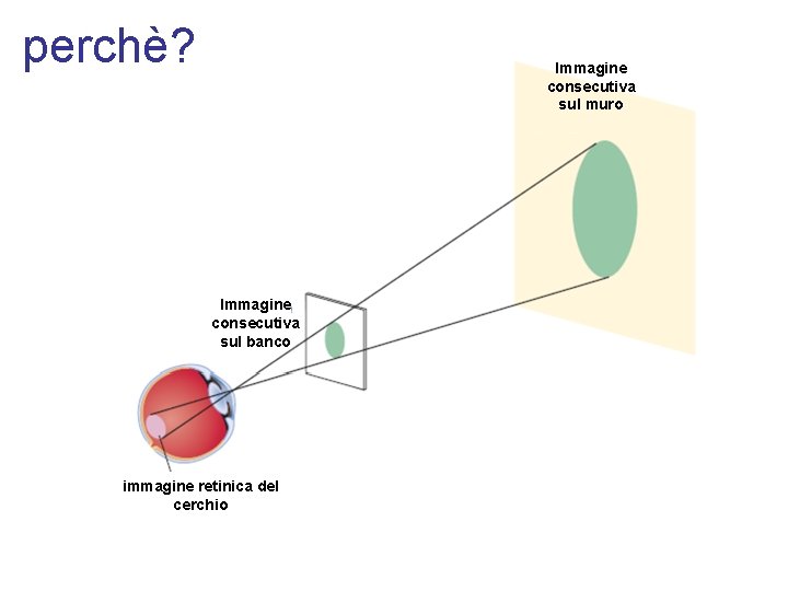 perchè? Immagine consecutiva sul muro Immagine consecutiva sul banco immagine retinica del cerchio 