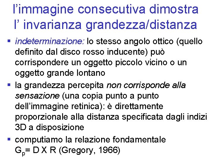 l’immagine consecutiva dimostra l’ invarianza grandezza/distanza § indeterminazione: lo stesso angolo ottico (quello definito