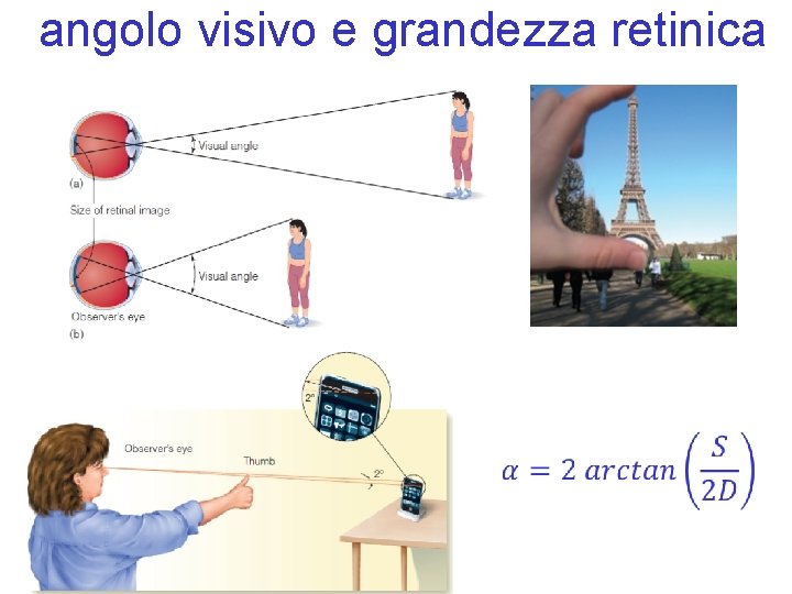 angolo visivo e grandezza retinica 