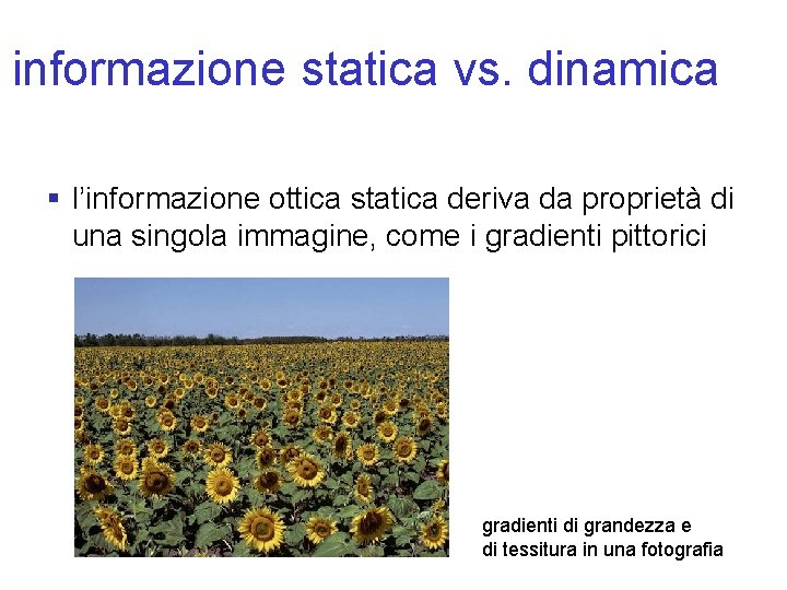 informazione statica vs. dinamica § l’informazione ottica statica deriva da proprietà di una singola