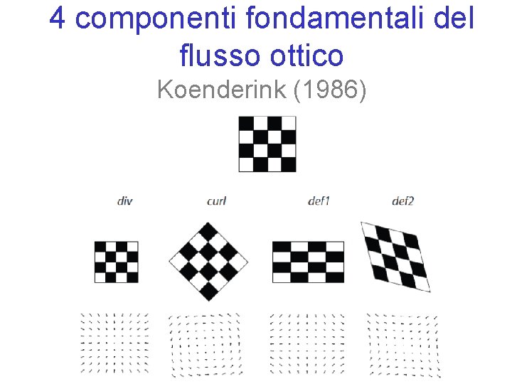 4 componenti fondamentali del flusso ottico Koenderink (1986) 