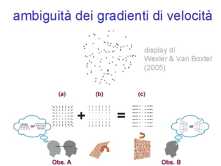 ambiguità dei gradienti di velocità display di Wexler & Van Boxtel (2005) 