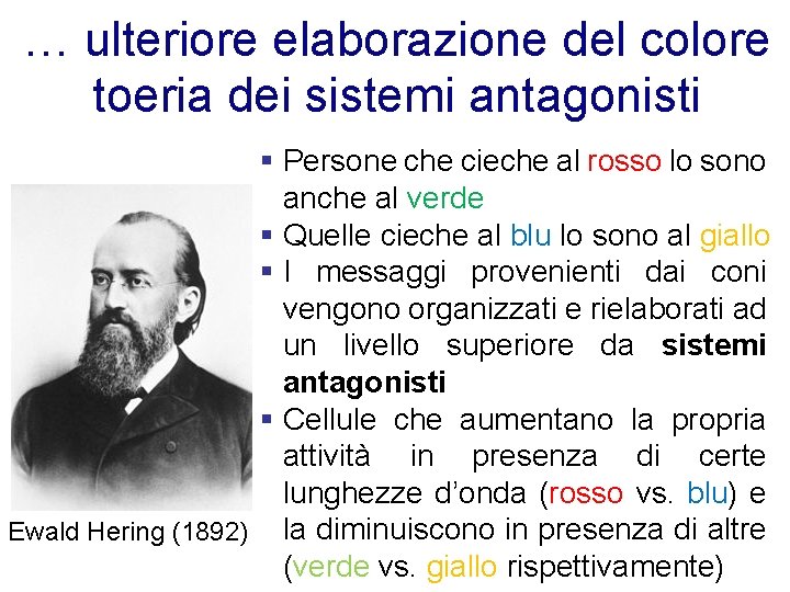 … ulteriore elaborazione del colore toeria dei sistemi antagonisti § Persone che cieche al