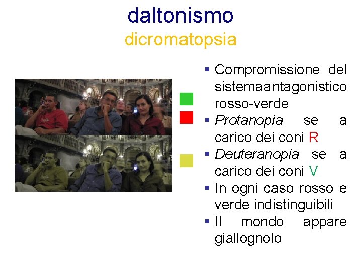 daltonismo dicromatopsia § Compromissione del sistema antagonistico rosso-verde § Protanopia se a carico dei