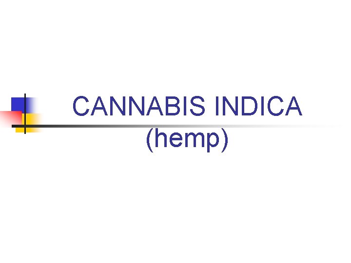 CANNABIS INDICA (hemp) 