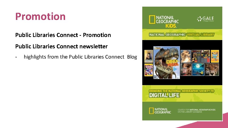 Promotion Public Libraries Connect - Promotion Public Libraries Connect newsletter - highlights from the