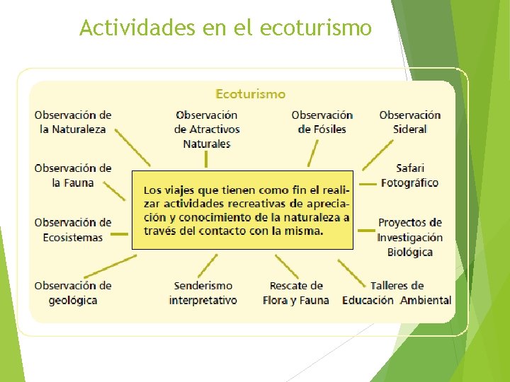 Actividades en el ecoturismo 