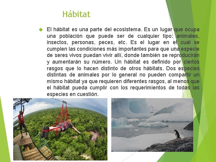 Hábitat El hábitat es una parte del ecosistema. Es un lugar que ocupa una Hábitat El hábitat es una parte del ecosistema. Es un lugar que ocupa una