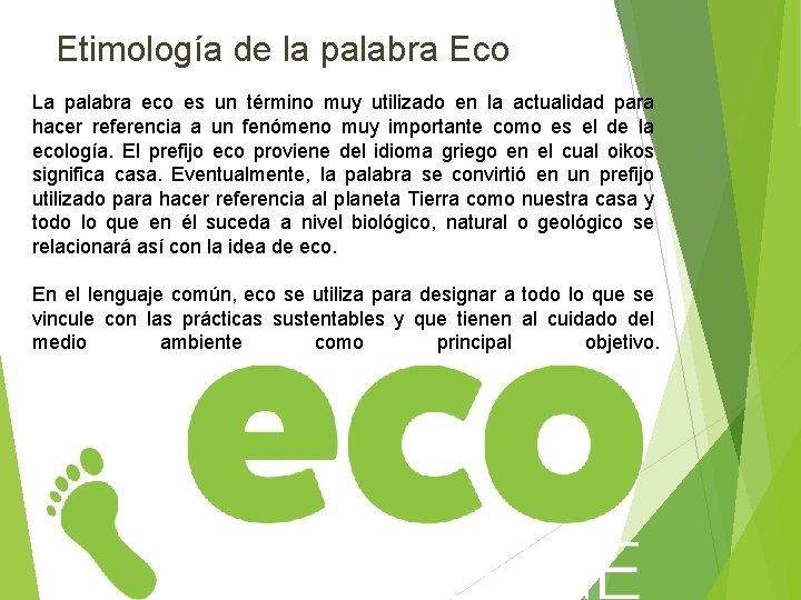 Etimología de la palabra Eco La palabra eco es un término muy utilizado en