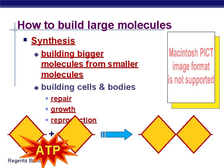 How to build large molecules § Synthesis building bigger molecules from smaller molecules u