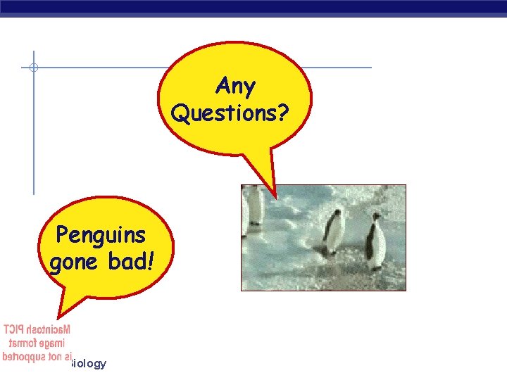 Any Questions? Penguins gone bad! Regents Biology 