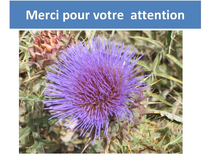 Merci pour votre attention 