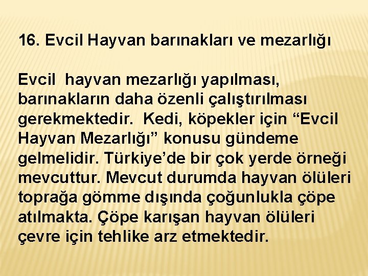 16. Evcil Hayvan barınakları ve mezarlığı Evcil hayvan mezarlığı yapılması, barınakların daha özenli çalıştırılması