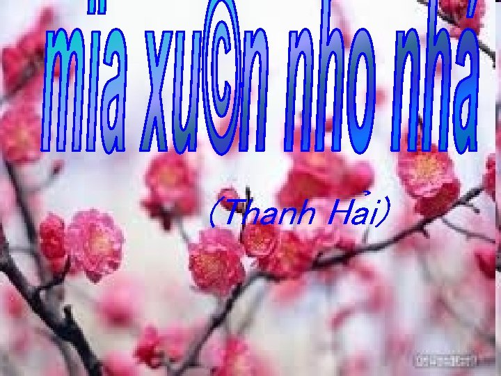 (Thanh Ha i) 