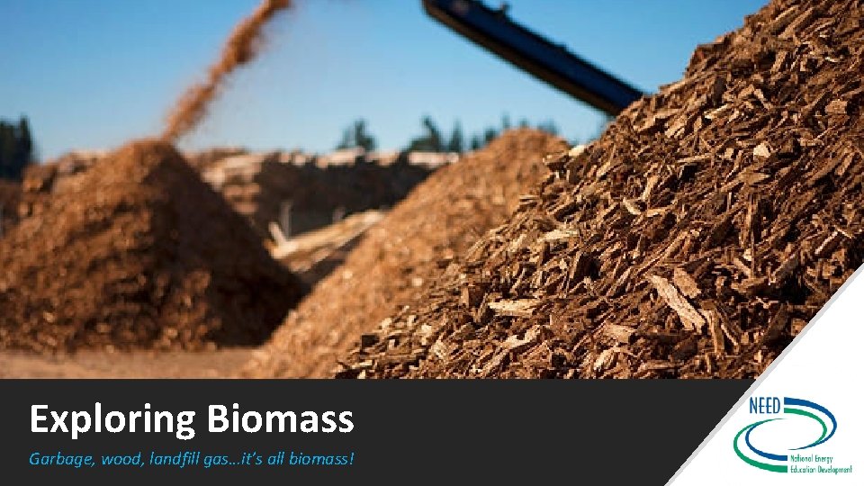 Exploring Biomass Garbage, wood, landfill gas…it’s all biomass! 