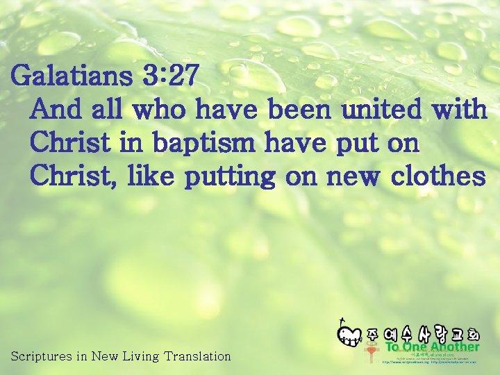 Galatians 3: 27 And all who have been united with Christ in baptism have