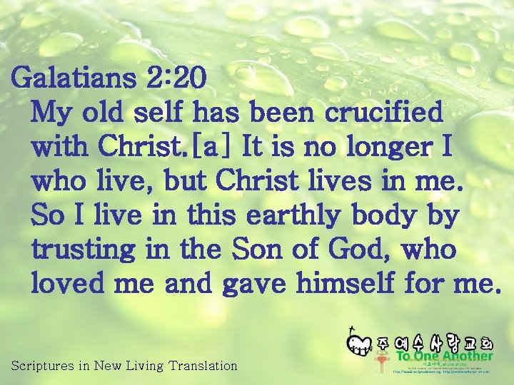 Galatians 2: 20 My old self has been crucified with Christ. [a] It is