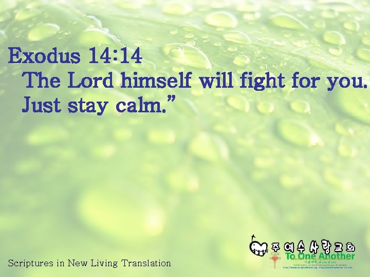 Exodus 14: 14 The Lord himself will fight for you. Just stay calm. ”