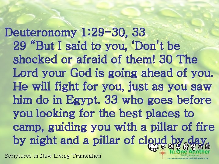 Deuteronomy 1: 29 -30, 33 29 “But I said to you, ‘Don’t be shocked