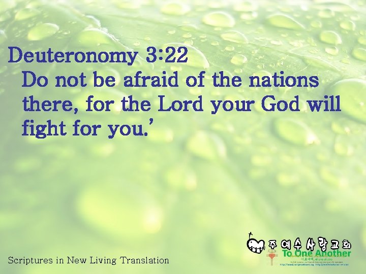 Deuteronomy 3: 22 Do not be afraid of the nations there, for the Lord