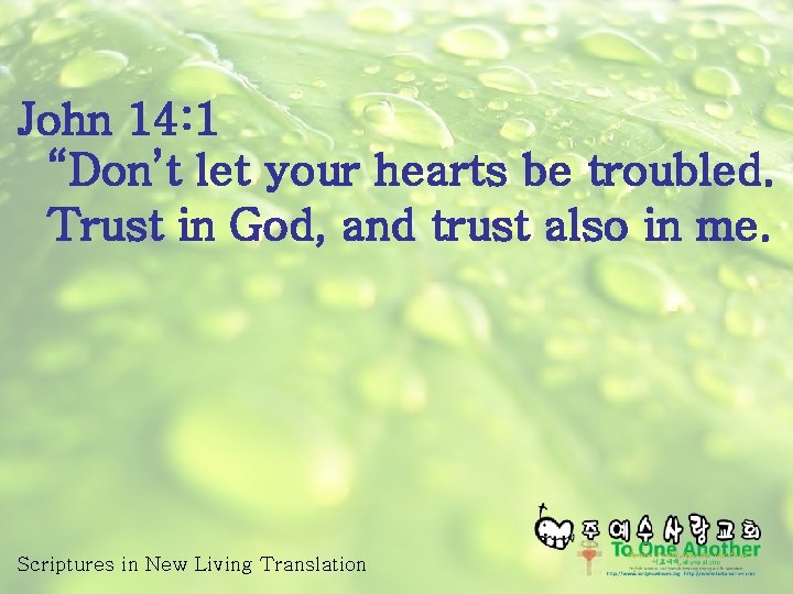 John 14: 1 “Don’t let your hearts be troubled. Trust in God, and trust