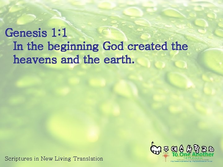 Genesis 1: 1 In the beginning God created the heavens and the earth. Scriptures