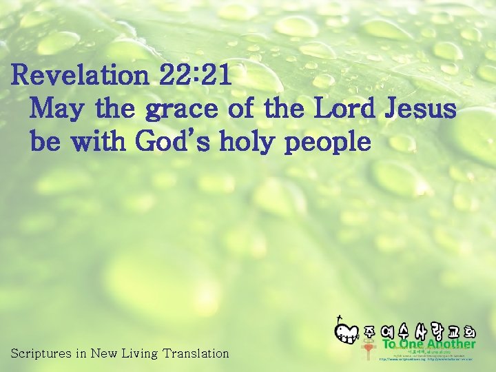 Revelation 22: 21 May the grace of the Lord Jesus be with God’s holy