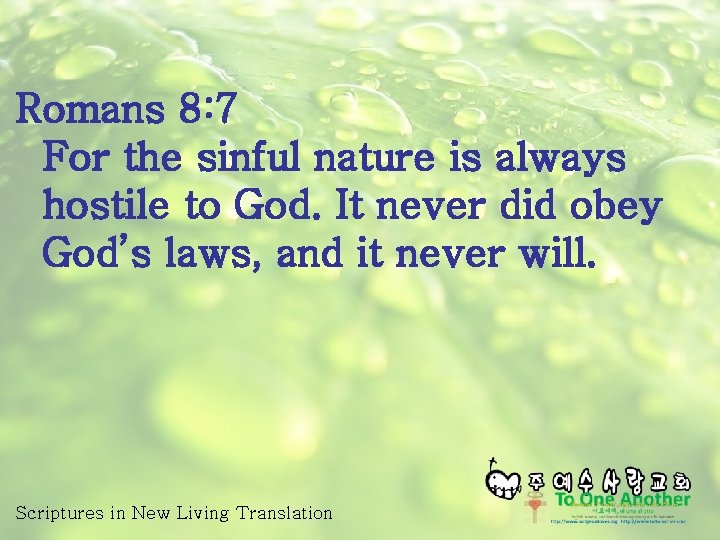 Romans 8: 7 For the sinful nature is always hostile to God. It never
