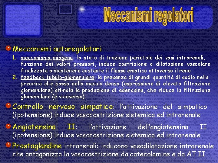 Meccanismi autoregolatori 1. meccanismo miogeno: lo stato di trazione parietale dei vasi intrarenali, funzione