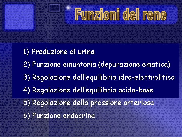 1) Produzione di urina 2) Funzione emuntoria (depurazione ematica) 3) Regolazione dell’equilibrio idro-elettrolitico 4)