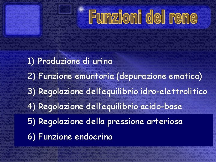 1) Produzione di urina 2) Funzione emuntoria (depurazione ematica) 3) Regolazione dell’equilibrio idro-elettrolitico 4)