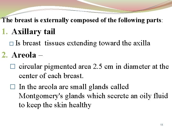 The breast is externally composed of the following parts: 1. Axillary tail � Is