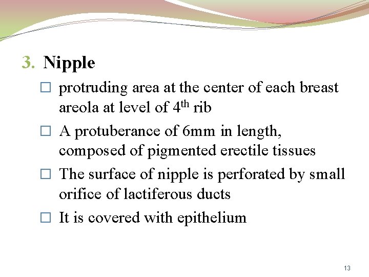 3. Nipple � protruding area at the center of each breast areola at level