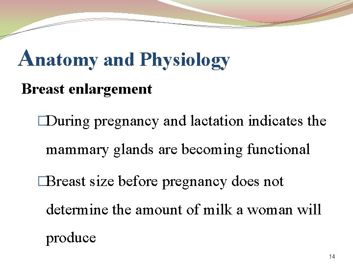 Anatomy and Physiology Breast enlargement �During pregnancy and lactation indicates the mammary glands are