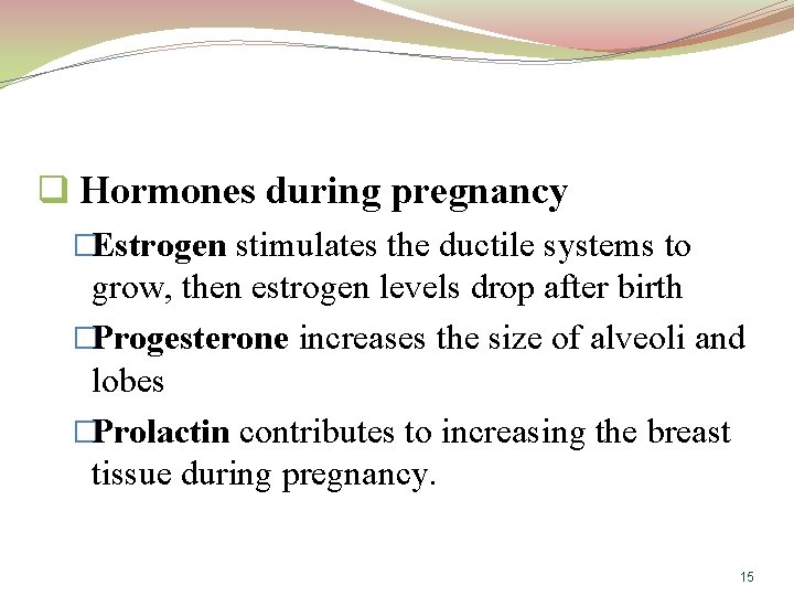 q Hormones during pregnancy �Estrogen stimulates the ductile systems to grow, then estrogen levels