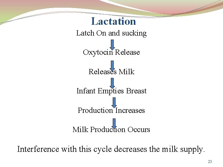 Lactation Latch On and sucking Oxytocin Releases Milk Infant Empties Breast Production Increases Milk