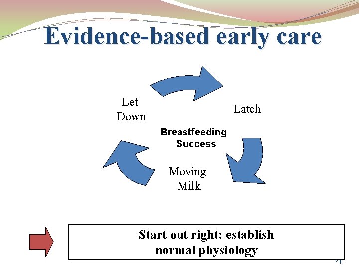 Evidence-based early care Let Down Latch Breastfeeding Success Moving Milk Start out right: establish