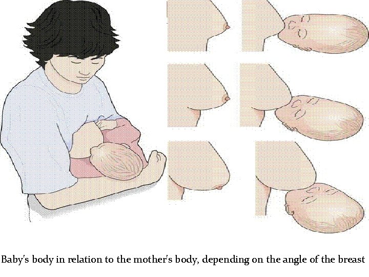 Baby's body in relation to the mother's body, depending on the angle of the